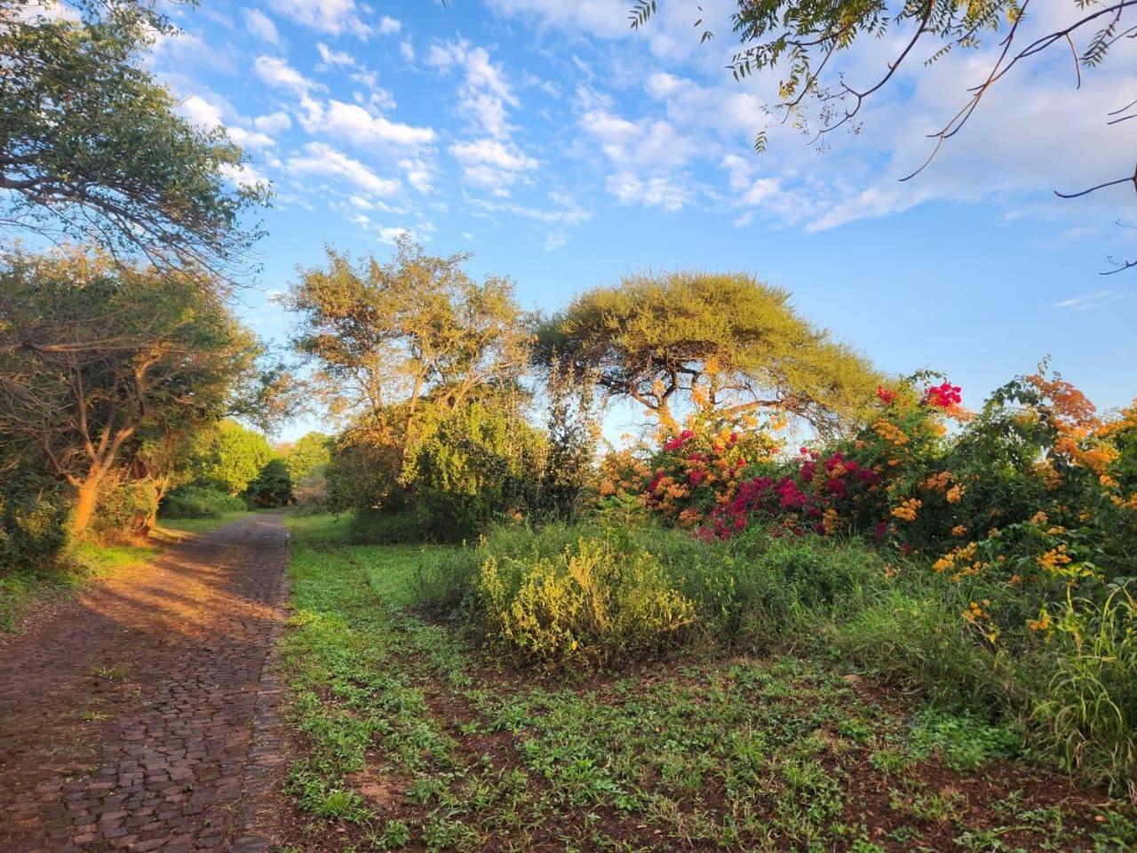 River Cottage Lodge Malalane Dış mekan fotoğraf